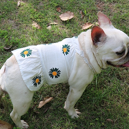 

Dog Cat Dress Elegant Adorable Cute Dailywear Casual / Daily Dog Clothes Puppy Clothes Dog Outfits Breathable Yellow Pink Costume for Girl and Boy Dog Cotton XS S M L XL