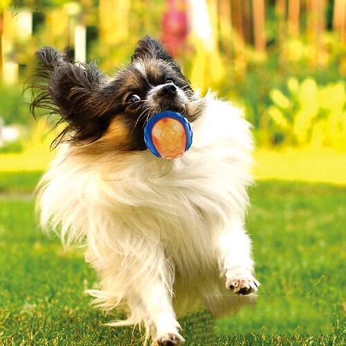 

Interactive Toy Dog Toy Squeaky Balls Dog Play Toy Sqeauking Toy Dog Pet Friendly Pet Exercise Releasing Pressure TPR Gift Pet Toy Pet Play