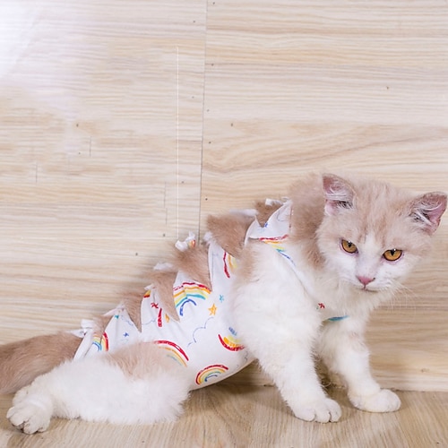 

Dog Cat Dog clothes Elegant Adorable Cute Dailywear Casual / Daily Dog Clothes Puppy Clothes Dog Outfits Breathable Red Blue Pink Costume for Girl and Boy Dog Cotton S M L