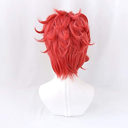 kakyoin noriaki wig