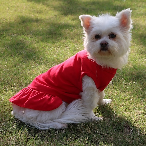 

Prodotti per cani Prodotti per gatti Vestiti Vestiti del cucciolo Abbigliamento per cani Semplice Da principessa Da principessa stile sveglio Dolce Da giorno Casual / quotidiano Abbigliamento per cani