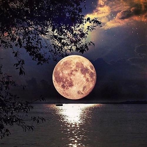 

Landscape Moon Sea Night 5D Diamond Painting DIY Art Wall Hanging Home Décor Decoration for Adults Kids Gift 3030cm