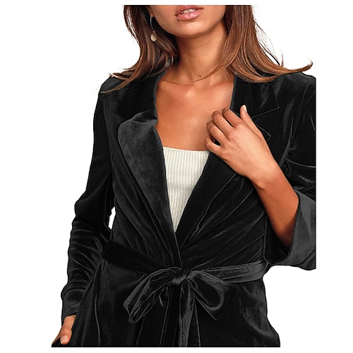 

Women's Coat Long Velvet Coat Black Gray Yellow Red Wine Casual Casual Daily Summer Regular Fit S M L XL / Solid Color / Velvet