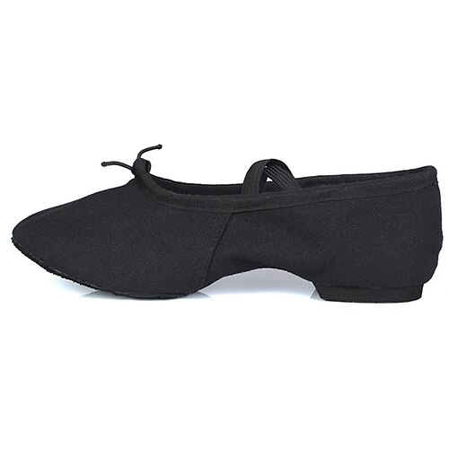 

Women's Ballet Shoes Ballroom Shoes Training Performance Practice Heel Thick Heel Elastic Band Slip-on Adults' Camel White Black