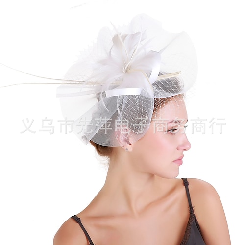 

Femme Chapeau Chapeau de seau Chapeau de Fête Noir Bleu Rose Claire Mariage Soirée Occasion spéciale Maille Plumes Portable Respirabilité Mariage