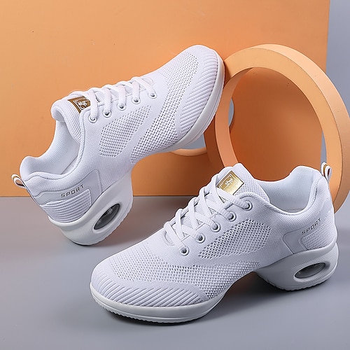 

Women's Dance Sneakers Cheer Shoes Training Performance Practice Party Collections Mesh Sneaker Thick Heel Round Toe Lace-up Adults' White Black