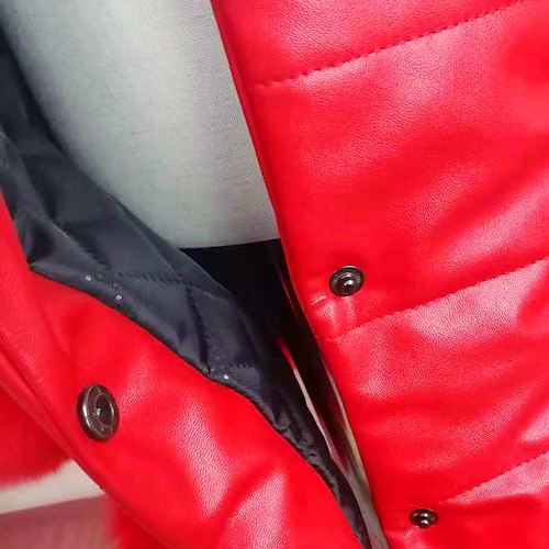  Dívčí 3D Dětská zimní bunda Bez vzoru Kabát Dolů Puffer Jacket Dlouhý rukáv Podzim Zima Aktivní Základní Děti 2-12 let Dovolená ulice Běžný