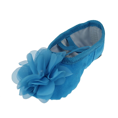 

Da ragazza Scarpe da danza classica Fai pratica con le scarpe da ballo Addestramento Professionale Ballerine Floreale Piatto Punta tonda Banda elastica Senza chiusura Per bambini Blu