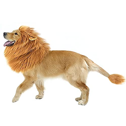 Lion Mane Costume for Medium and Large Dogs-Bloomingtails Dog Boutique