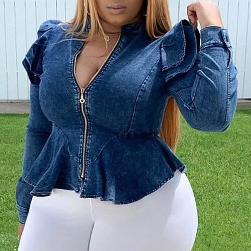

Women's Plus Size Tops Blouse Shirt Plain Zipper Long Sleeve V Neck Basic Streetwear Preppy Daily Going out Cotton Spring Fall Blue