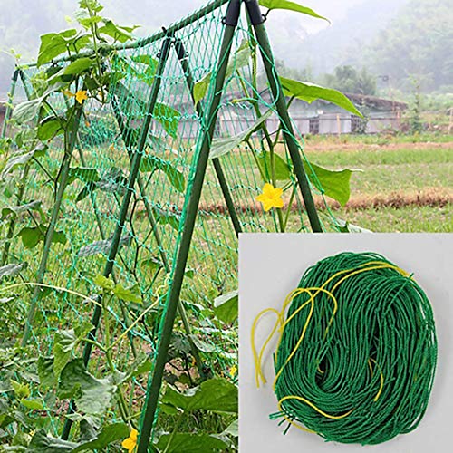 

Gardening Networks Melon Fruit Morning Glory Vine Net Flower Cucumber Trellis Netting Plant Nets Climbing Garden Supplies