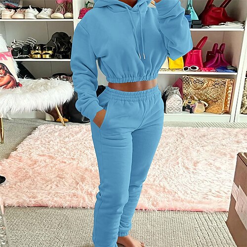 

Women's Loungewear Sets Nighty 2 Pieces Pure Color Fashion Sport Comfort Home Street Airport Polyester Warm Hoodie Long Sleeve Hoodie Pant Elastic Waist Basic Pocket Winter Fall Pink Light gray