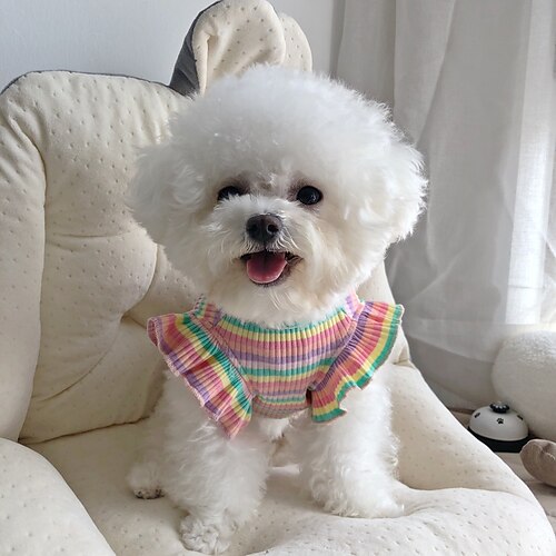 

Rainbow Strip Pet Dog Clothes Spring Pet Clothing for Small Medium Dogs Costume Puppy Pet Shirt Clothes for Dogs