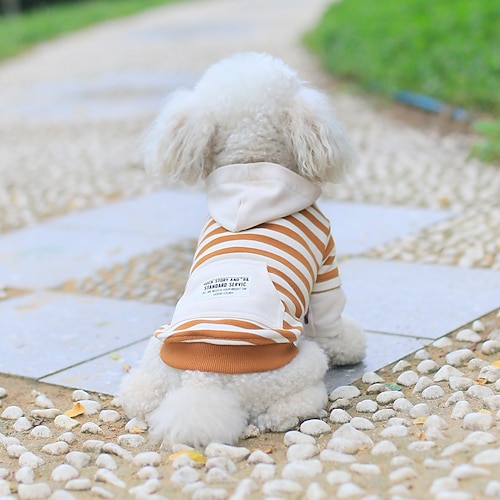 

Pet Clothes Sweater Autumn And Winter New Hooded Terry Teddy Bear Puppy Two-legged Clothes Pet Parent-child Wear