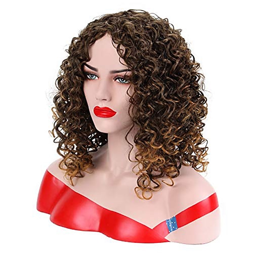 

Short Kinky Curly Afro Wigs for Black Women Synthetic Shoulder Length Fluffy Full Wig for African American with Color Ombre Brown (#2T30)