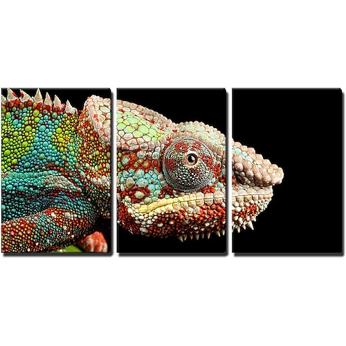 

3 Panels Wall Art Canvas Prints Painting Artwork Picture Canvas Wall Art Chameleon Painting Modern Home Decoration Decor Rolled Canvas No Frame Unframed Unstretched