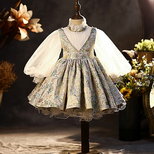 

Kids Little Girls' Dress Floral Graphic Patterned A Line Dress Birthday Sequins Ruched Mesh Green Pink Knee-length Long Sleeve Princess Cute Dresses Fall Summer Regular Fit 4-13 Years