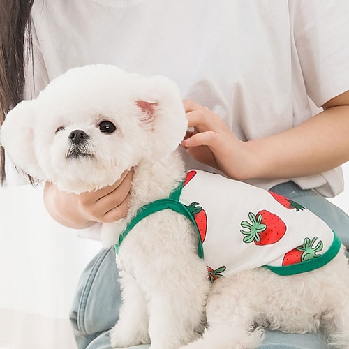 

Sweet Pet Dog Couple Wear Summer Cool Puppy Clothes for Small Dogs Poodle Pug Dress Vest Shirt Dog Clothing T-shirt Bitch Skirt