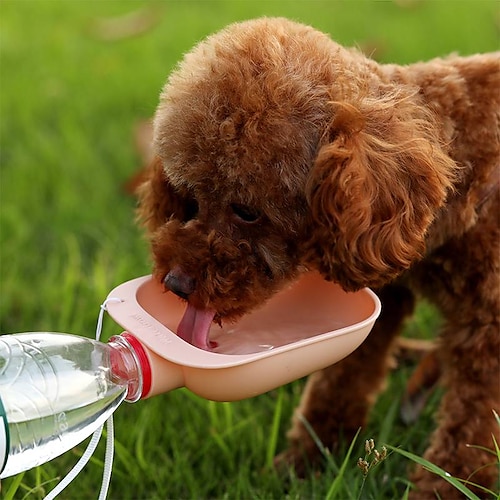 

Dog Cat Automatic Drinking Bowl Plastic Portable Outdoor Training Green Pink Blue Bowls Feeding Sports Outdoor Traveling Outdoor