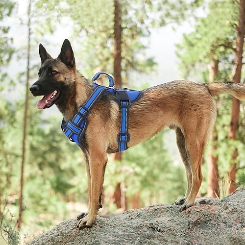 

Pet Go Out Chest And Back Adjustable Reflective Chest And Back Large Dog Comfortable Chest Harness