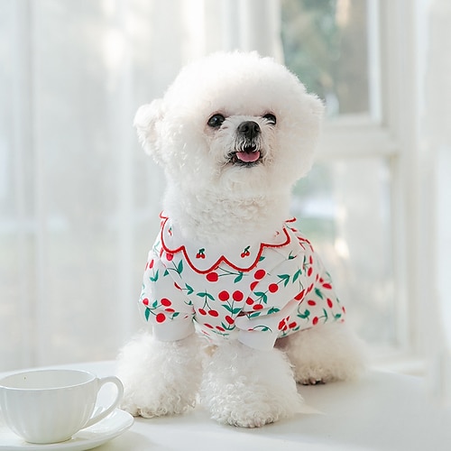 

Dog Cat Dress Cherry Fashion Cute Holiday Casual / Daily Dog Clothes Puppy Clothes Dog Outfits Soft Red and White Costume for Girl and Boy Dog Cloth XS S M L XL 2XL