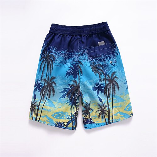 

Men's Swim Shorts Swim Trunks Board Shorts Beach Shorts Elastic Waist 3D Print Print Graphic Comfort Quick Dry Short Sports Outdoor Daily Bathing Fashion Casual Green Deep Blue Micro-elastic