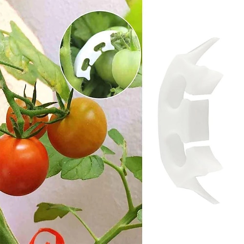 

Vegetables Tomato Fixing Clips to Prevent Bending Support Clamp Fruit Flower Green Plant Seedling Reinforcement Clips