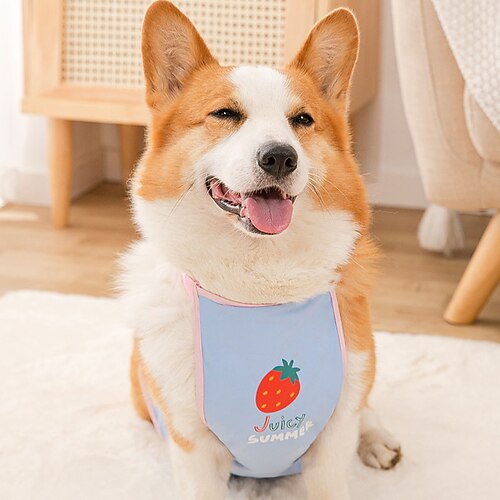 

Dog Cat Vest Fruit Fashion Cute Sports Casual / Daily Dog Clothes Puppy Clothes Dog Outfits Soft Green Purple Blue Costume for Girl and Boy Dog Cloth XS S M L