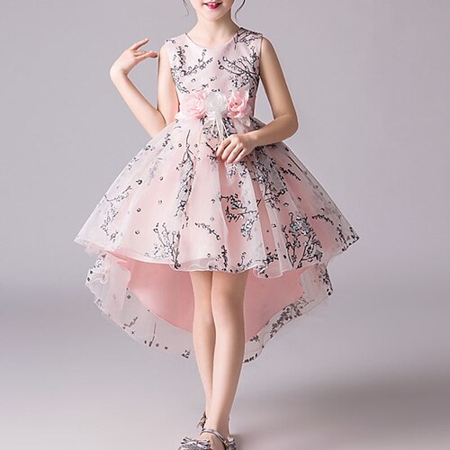 

Robe Enfants Fille Floral Robe Trapèze Asymétrique Robe Soirée Ruché Sans Manches Le style mignon Robe 3-12 ans Printemps Rose Claire Rouge