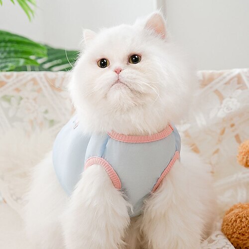 

Dog Cat Vest Fashion Cute Sports Casual / Daily Dog Clothes Puppy Clothes Dog Outfits Soft Green Rosy Pink Blue Costume for Girl and Boy Dog Cloth XS S M L XL 2XL