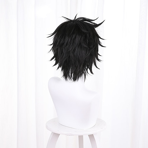 

The Rising of the Shield Hero Naofumi Iwatani Cosplay Wigs Men's Layered Haircut 35 inch Heat Resistant Fiber kinky Straight Black Teen Adults' Anime Wig