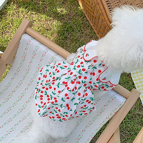 

Dog Cat Dress Cherry Fashion Cute Holiday Casual / Daily Dog Clothes Puppy Clothes Dog Outfits Soft Red and White Costume for Girl and Boy Dog Cloth XS S M L XL 2XL