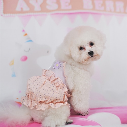 

Dog Clothes Spring and Summer Pet Clothing Small Dog Princess Polka Dot Stitching Vest Skirt Pet Fun