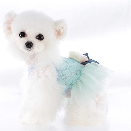 

Spring New Lollipop Dog Clothes Summer Thin Pet Lace Love Fluffy