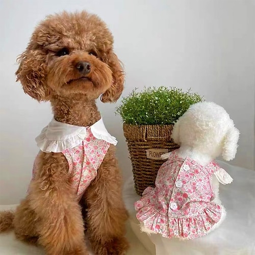 

fleur fragmentée robe petit chien vêtements chat animal de compagnie ours en peluche poméranien petit chien chiot été mince