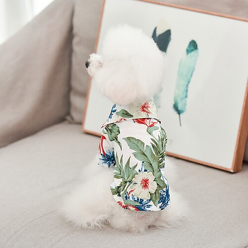 

Dog Cat Dress Solid Colored Fashion Cute Sports Casual / Daily Dog Clothes Puppy Clothes Dog Outfits Soft Green Red Costume for Girl and Boy Dog Cotton XS S M L XL XXL