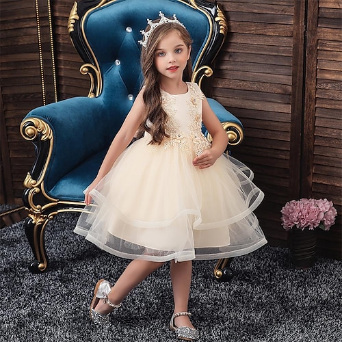 

Kids Girls' Dress Solid Colored Skater Dress Knee-length Dress Party Embroidered Sleeveless Cute Dress Spring Blue Purple Dusty Rose