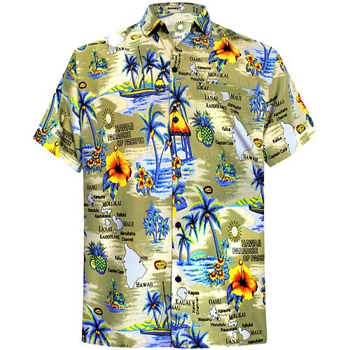

Men's Shirt Floral Turndown Street Casual Button-Down Short Sleeve Tops Casual Fashion Comfortable Beach Rainbow