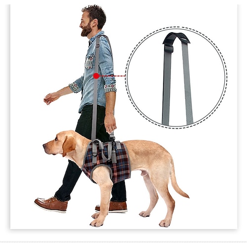 

Extra Supportive Dog Canine Rear Leg Hock Joint Wrap Protects Wounds as They Heal Compression Brace Heals and Prevents Injuries and Sprains Helps Arthritis
