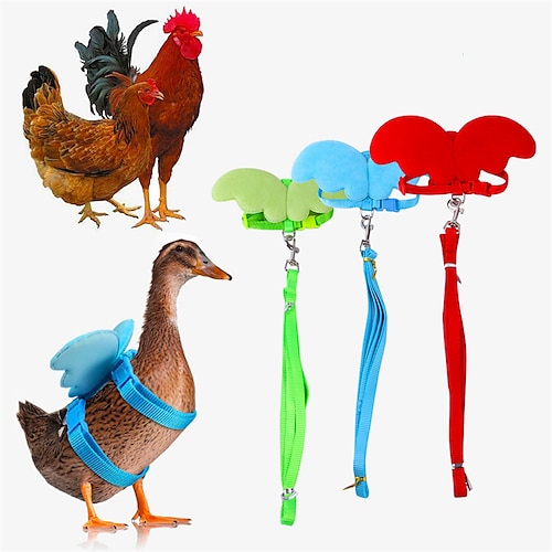 

New Chicken Duck and Goose Supplies New Little Angel Wings Chest Strap Traction Rope Chicken Outing Traction Rope