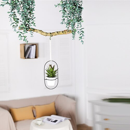 

Artificial Plants Plastic Simple Style Irregular Wall Flower Irregular 1