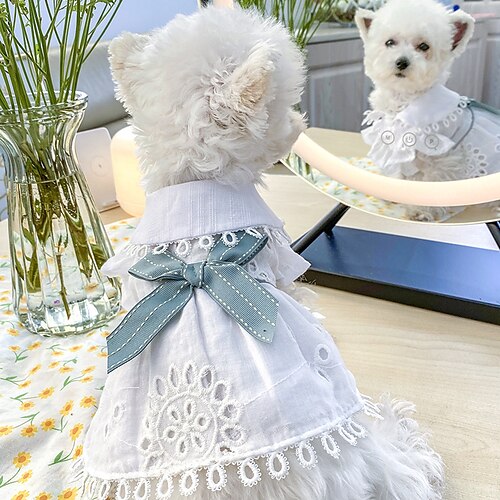 

Chien Chat Robe Nœud papillon Adorable Le style mignon Quotidien Casual Quotidien Vêtements pour Chien Vêtements pour chiots Tenues De Chien Doux Bleu Costume pour fille et garçon chien Polyester XS