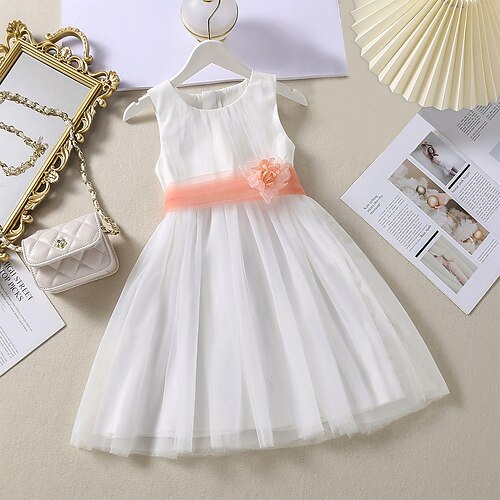

Kids Little Girls' Dress Solid Colored Tulle Dress Party Daily Mesh White Knee-length Sleeveless Elegant Cute Dresses Spring Summer Slim 2-8 Years