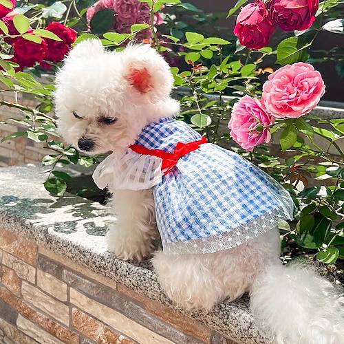 

Dog Cat Dress Plaid / Check Adorable Cute Dailywear Casual / Daily Dog Clothes Puppy Clothes Dog Outfits Soft Blue Costume for Girl and Boy Dog Polyester XS S M L XL