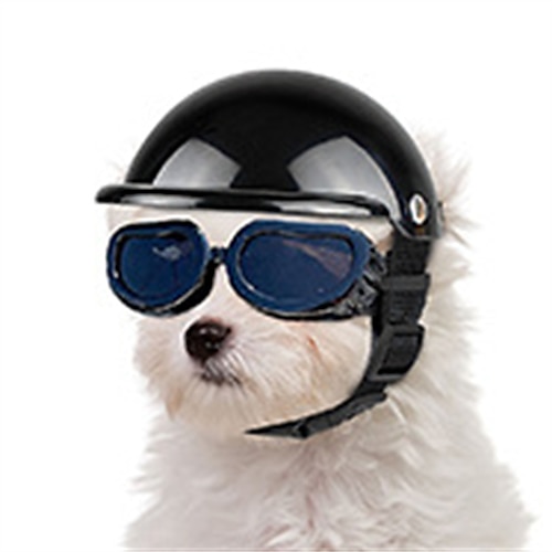 

Casque pour animaux de compagnie petit-moyen casque de chien de moto chapeau de chat pour le vélo casquette de chienchien