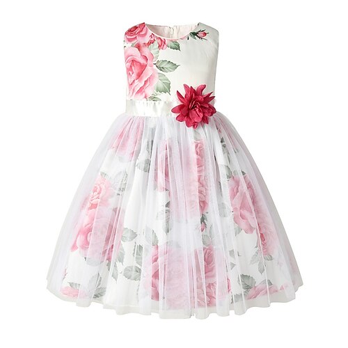

Kids Little Girls' Dress Rose Print Multicolor Cotton Sleeveless Princess Sweet Dresses Summer 2-6 Years