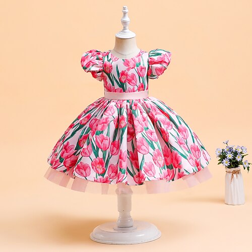 

Toddler Little Girls' Dress Flower Skater Dress Party Daily Puff Sleeve Pink Knee-length Short Sleeve Princess Cute Dresses Spring Summer Slim 2-6 Years