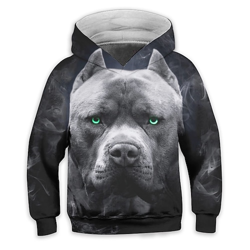 

Kids Boys Hoodie Animal Outdoor 3D Print Long Sleeve Pocket Active 3-13 Years Fall Gray