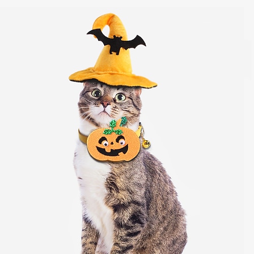 

Pet Halloween Accessories Set Dog Bat Hat Cat Pumpkin Collar Pet Ornament