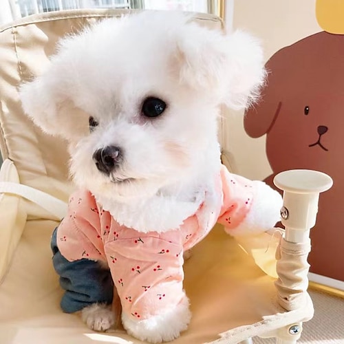 

Pet Bo Mei Than Bear Schnauzer Poodle Teddy Dog Clothes Autumn Winter Autumn Dress Puppy Milk Dog Cute